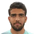 آرش قادری