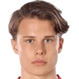 لوو آرهوف